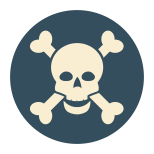 Skull Crossbones icon