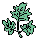 Grüner Salat icon