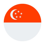 싱가포르 원형 icon