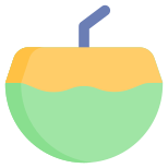 Coconut icon