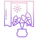 Indoor Plant And Sunlight icon