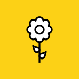 Blossom icon