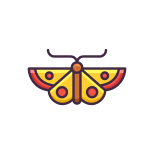 Butterfly icon