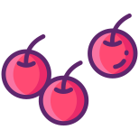 Cranberry icon