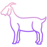 Chèvre icon