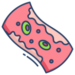 Cholesterol icon