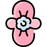 Begonia icon