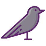 Crow icon