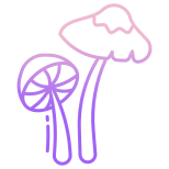 Parasol icon