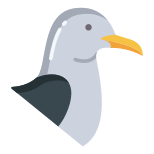 Seagull icon