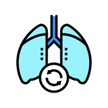 Lungs Transplant icon