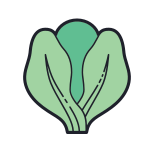 Lechuga icon