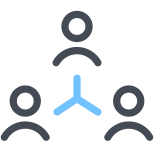 Internal Network icon