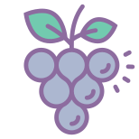 Grapes icon