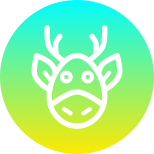 Animal icon