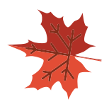 Maple leaf icon