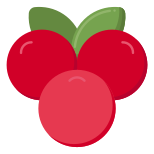 Cranberry icon