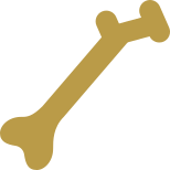 Human Bone icon