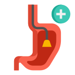 Endoscopy icon