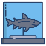 Shark icon