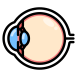 eyeball icon