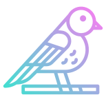 Pájaro icon