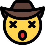 Dizzy Cowboy icon