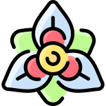 Amaryllis icon