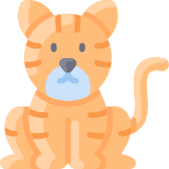 Tigre icon