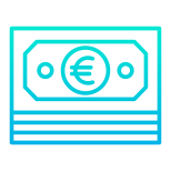 Euro icon