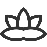 Water Lily icon