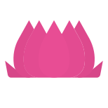 Lotus Flower icon