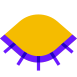 Closed Eye icon