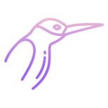 Humming Bird icon