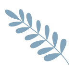 Branch icon