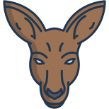 Kangourou icon