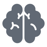 Brain icon