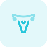 白い背景に分離された外部子宮カラー画像生殖能力トリトーンタルリビボ icon