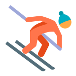 Alpine Skiing Skin Type 2 icon