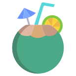 Noce di cocco icon