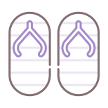 Flip Flops icon