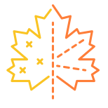 maple-leaf icon