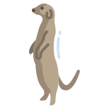 Meerkat icon