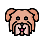 Havanese Dog icon