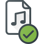 Checked Audio File icon