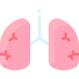 Pulmones icon