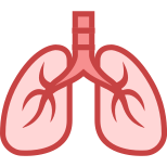 Lungs icon