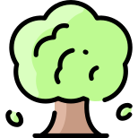 Baum icon