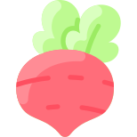 Radish icon