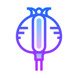 アヘンケシ icon